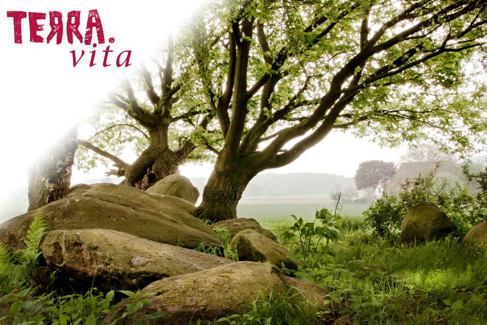 Erfolgreiche Rezertifizierung: Natur- und Geopark TERRA.vita ist vier weitere Jahre UNESCO-Stätte