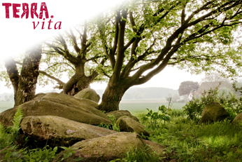 Erfolgreiche Rezertifizierung: Natur- und Geopark TERRA.vita ist vier weitere Jahre UNESCO-Stätte