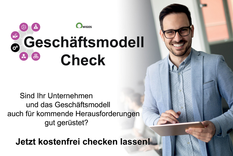 WIGOS Geschäftsmodell-Check