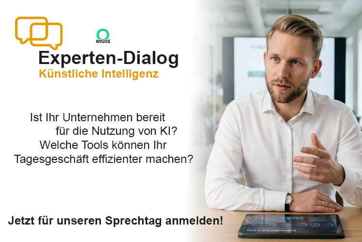 WIGOS KI-Online-Check