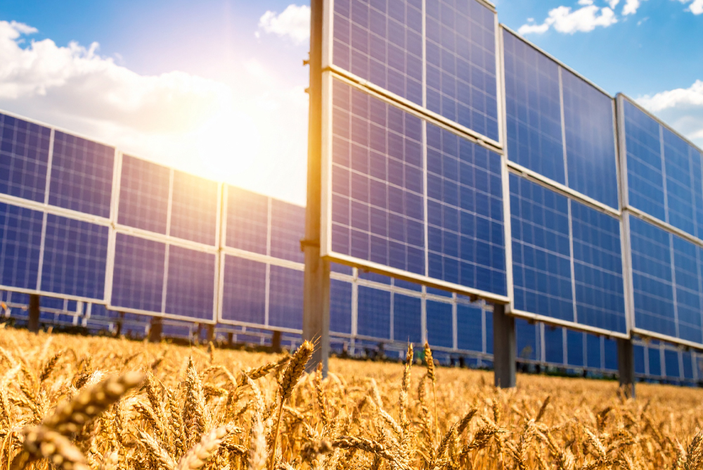 Flughafen FMO: Größte Agri-Photovoltaik-Anlage in NRW geplant