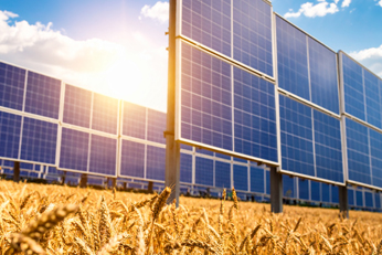 Flughafen FMO: Größte Agri-Photovoltaik-Anlage in NRW geplant